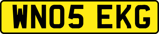 WN05EKG
