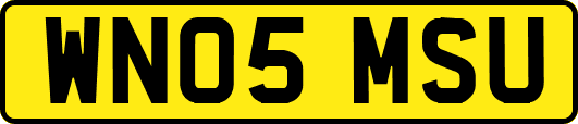 WN05MSU