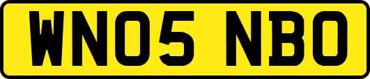 WN05NBO
