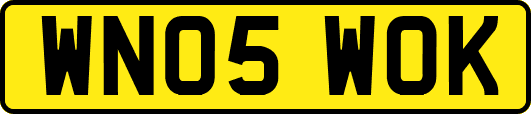 WN05WOK