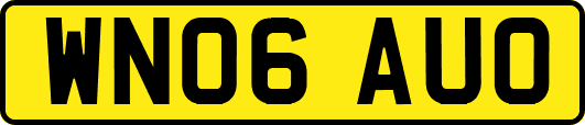 WN06AUO