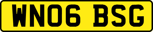 WN06BSG