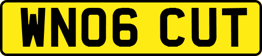 WN06CUT