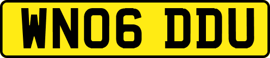 WN06DDU