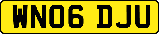 WN06DJU