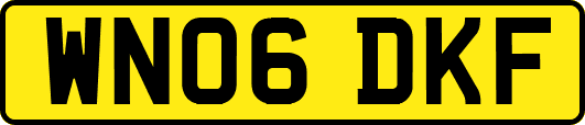 WN06DKF