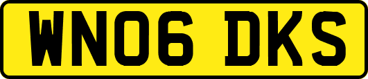 WN06DKS