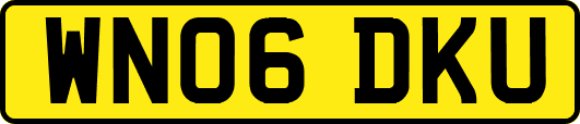 WN06DKU