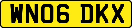 WN06DKX