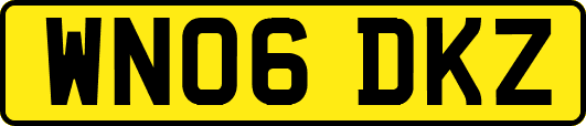 WN06DKZ