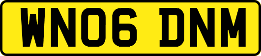 WN06DNM