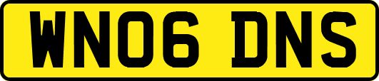 WN06DNS