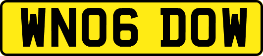 WN06DOW