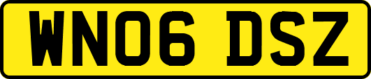WN06DSZ
