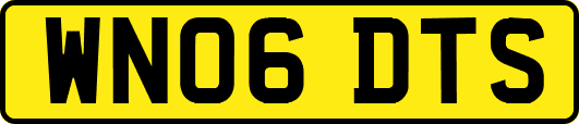 WN06DTS