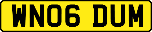 WN06DUM