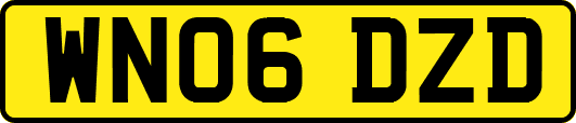 WN06DZD