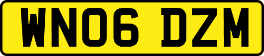 WN06DZM