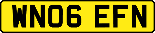 WN06EFN