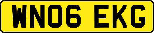 WN06EKG