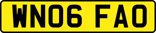 WN06FAO