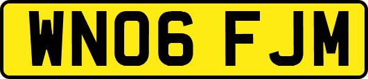 WN06FJM