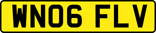 WN06FLV
