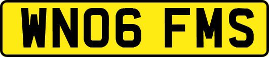 WN06FMS