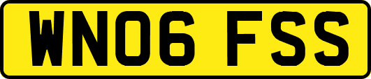 WN06FSS