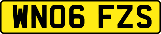 WN06FZS
