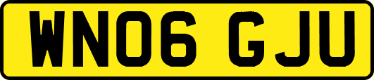 WN06GJU