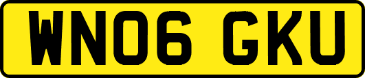 WN06GKU