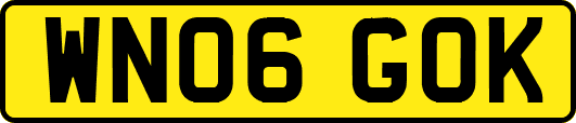 WN06GOK