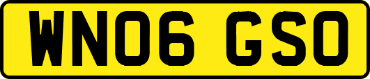 WN06GSO