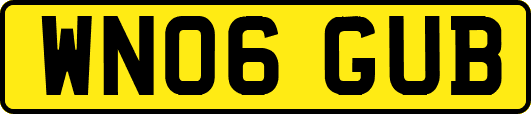 WN06GUB