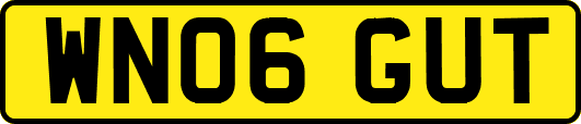 WN06GUT