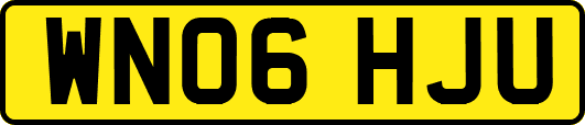 WN06HJU