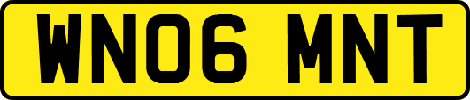 WN06MNT