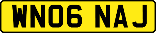 WN06NAJ