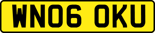 WN06OKU