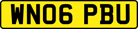 WN06PBU