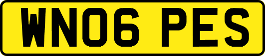 WN06PES