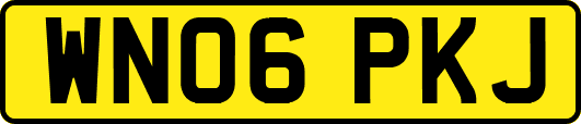 WN06PKJ