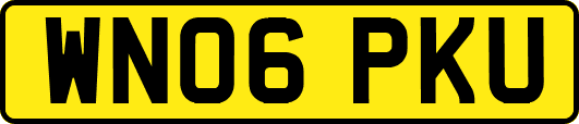 WN06PKU