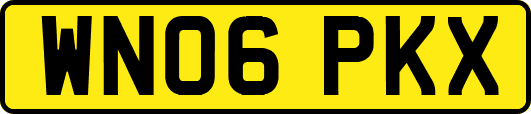 WN06PKX