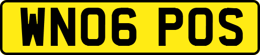 WN06POS