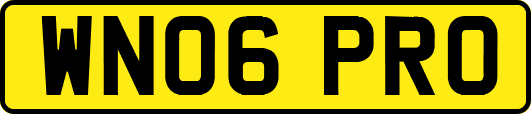 WN06PRO