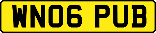 WN06PUB