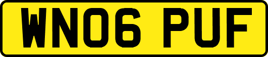 WN06PUF