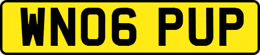 WN06PUP